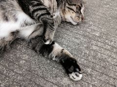 -江南大学(蠡湖校区)