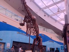 -陕西自然博物馆