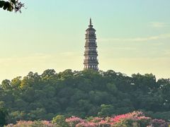 -顺峰山公园