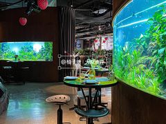 -华阳时光吧餐厅(华阳广场国际大饭店)