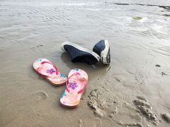 -贝壳沙滩