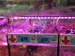 -大润发(国兴店)