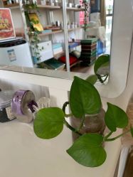 -美肌工坊皮肤管理