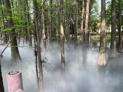 -东湖落雁景区