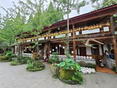 -青城甲(青城山店)