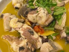 -饭怕鱼·黄焖鲟龙鱼(湖大店)