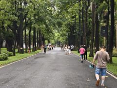 -海珠湖公园