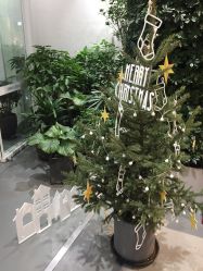 -悦诗风吟innisfree