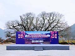 -雅鲁藏布江