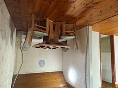-金山农民画村-枫泾波兰倒置屋