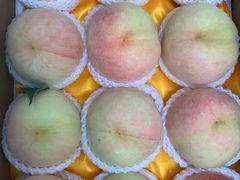 -老袁家蜜桃农场·阳山水蜜桃