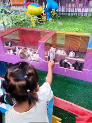 -萌宠亲子动物乐园(槐房万达店)