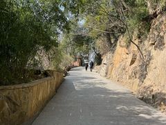 -上海佘山国家森林公园西佘山园