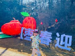 -北京张裕爱斐堡酒庄