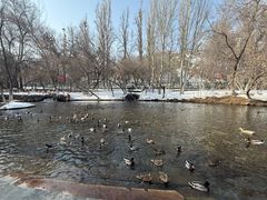 -水磨沟公园
