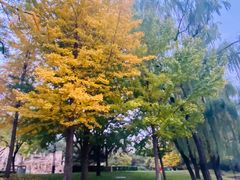 -元大都城垣遗址公园