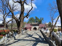 -红螺寺