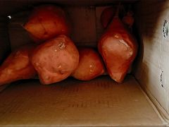 -肯德基(胜利店)