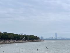 -深圳湾公园(南山区)