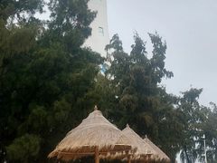 -北海金海湾红树林生态旅游区