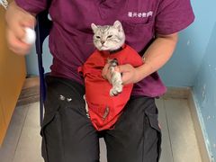 -瑞派福兴宠物医院犬猫全科·骨科·中西医结合(河东店)