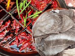 -大龙火锅(老店)