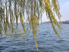 -浙江西子宾馆·牡丹厅