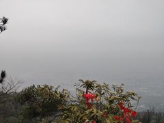 -缙云山景区