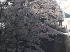 -西安青龙寺遗址景区
