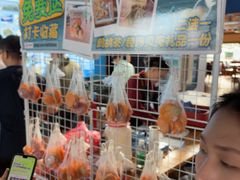 -蓝湾碧波·老字号·疍家非遗海上餐厅