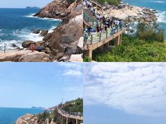 -广东惠东海龟国家级自然保护区