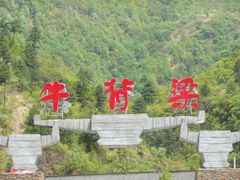 -牛背梁国家森林公园