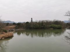 -西溪国家湿地公园