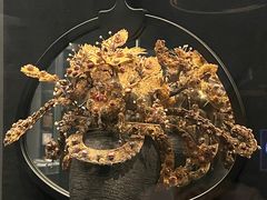-贵州省博物馆(新馆)