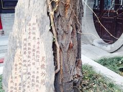 iphone_upload_pic-湘子庙