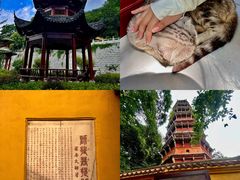-宝通禅寺