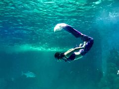 -常州海昌海洋探索馆