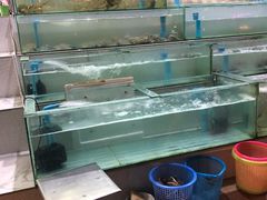 -光海鲜鱼翅餐厅(叻差拉披色路店)