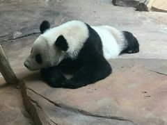 -二一九公园