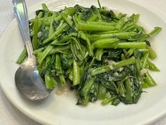 -天府乐园