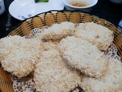-豪华脆肉鲩