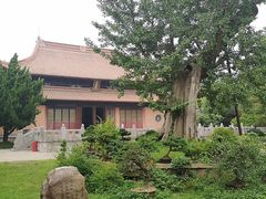-苏州文庙(姑苏区)