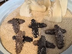 -后田海鲜餐厅(南澳香湖湾店)