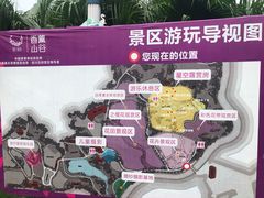 -紫颐香薰山谷景区