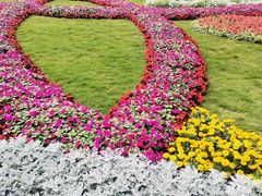 -深圳仙湖植物园