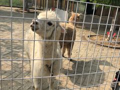 -武汉紫薇都市田园