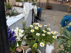 -Money Shops(愚园路店)