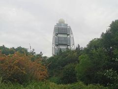 -深圳国际园林花卉博览园