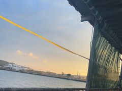 -阿兰姐海鲜店