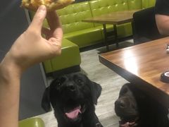 -百好乐宠物友好餐厅(朝外大街店)